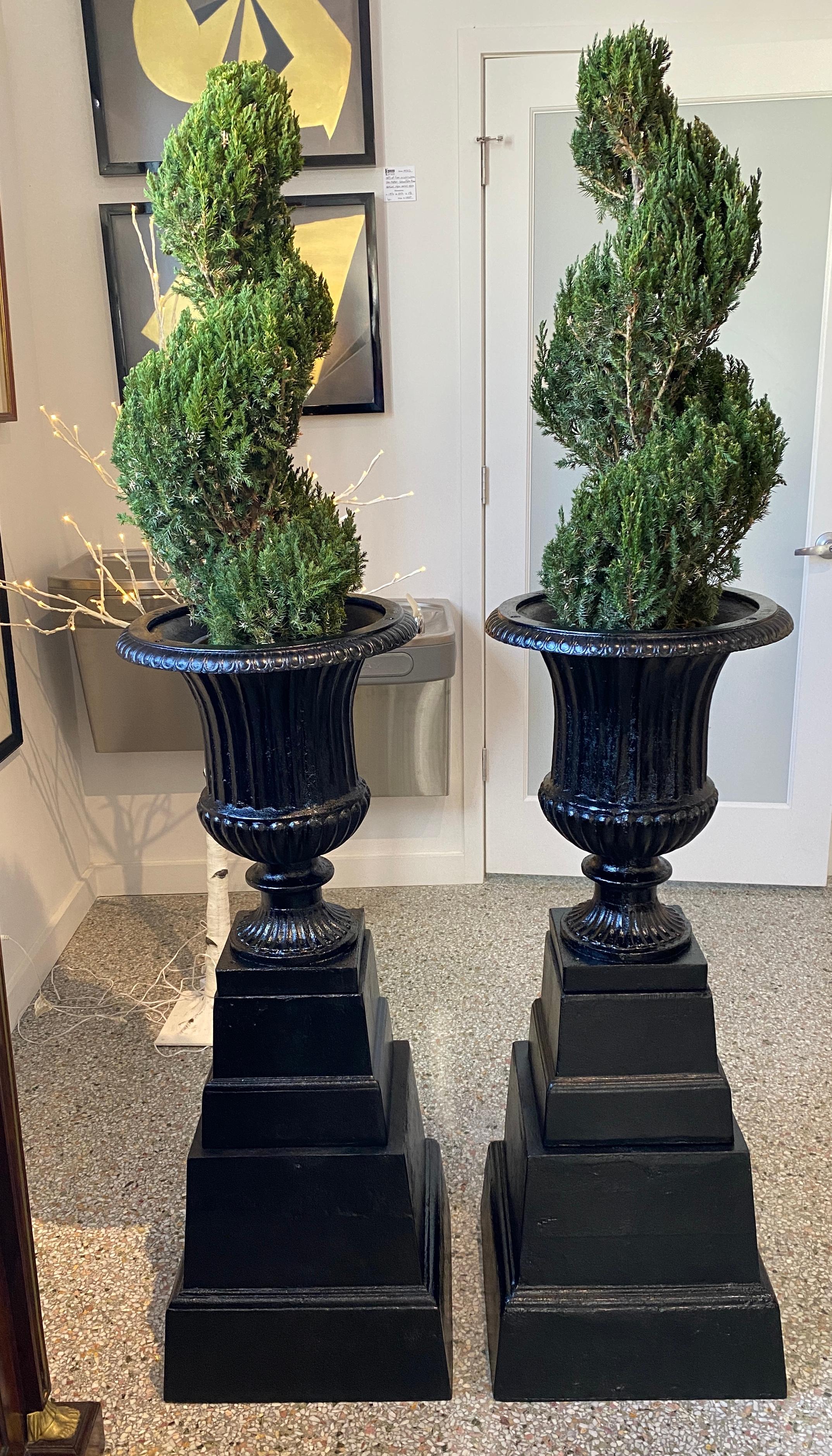 This stylish and chic pair of english regency style garden urns will make a subtle statement with their scale and form. 

Note: The pieces have been professionally restored, with sandblasting and painting.

Note: Each piece is fabricated with