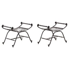 Pair of Regency-style metal garden seats - UK, Late 20th century