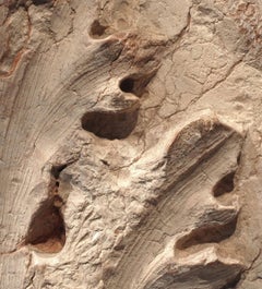 Italian Renaissance Hand-Carved Marble Capitals, Circa 1500-1600