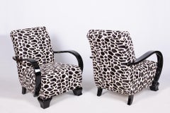 Coppia di poltrone Art Deco restaurate, Beeche, rivestite, Ceco, anni '20