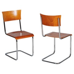 Paire de chaises Bauhaus restaurées, par M. Stam, hêtre, acier chromé, République tchèque, années 1930