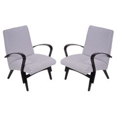 Pair of Restored Mid-Century Armchairs, New Upholstery, Czech, 1950s