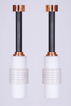 Pair of Restored Mid-Century Chandeliers, by Drukov, Steel, Czech, 1950s