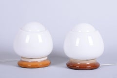 Pair of Restored Mid-Century Table Lamps, Ceramics, Opal Glass, Czech, 1950s