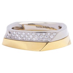 Pair of Rings by Frank Gehry for Tiffany & Co