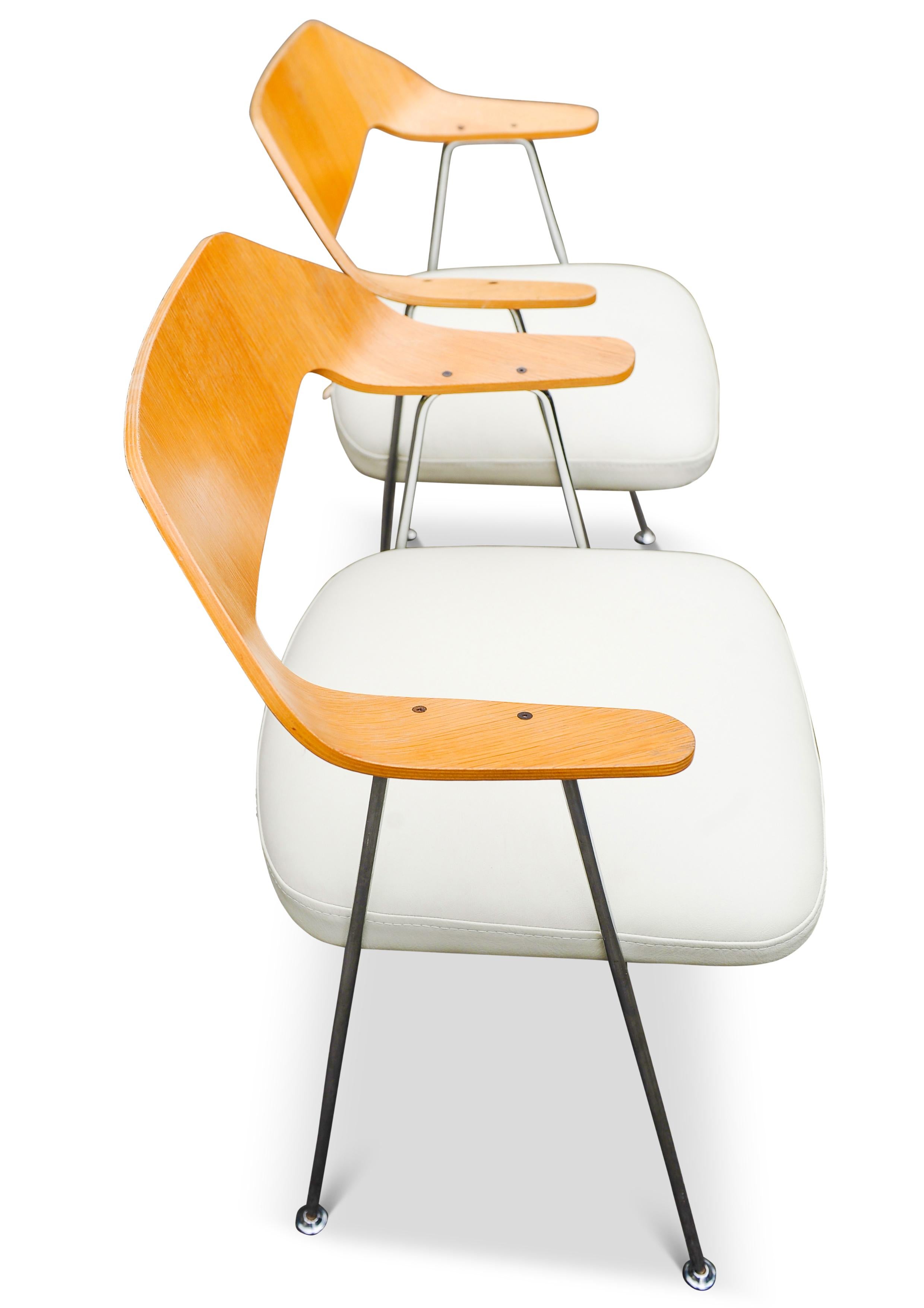 20ième siècle Paire de chaises Robin Day Hille en contreplaqué de chêne cintré et chrome avec sièges en cuir blanc en vente