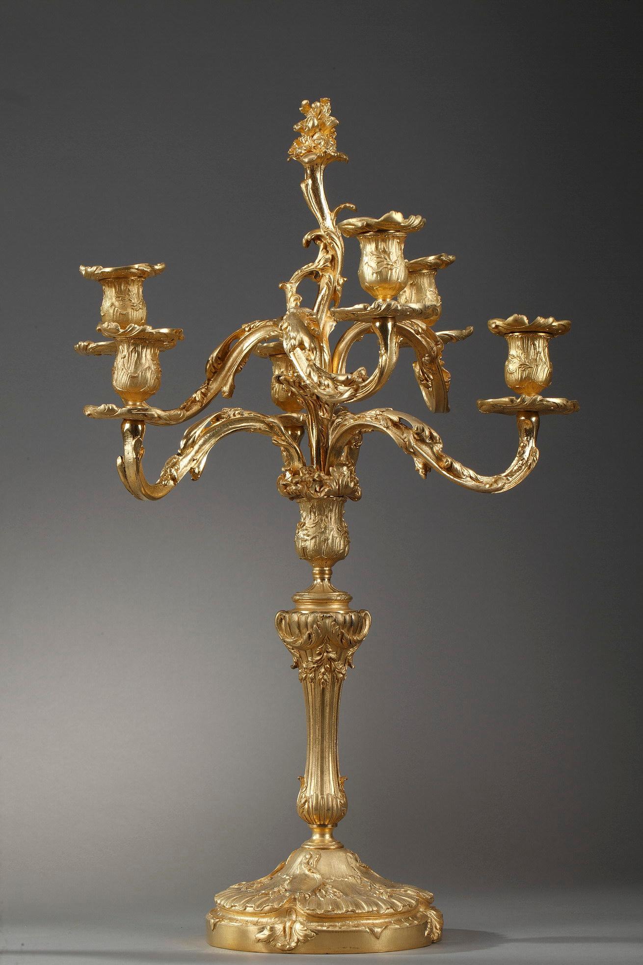 French Pair of Rocaille Style Candelabras in Gilt Bronze