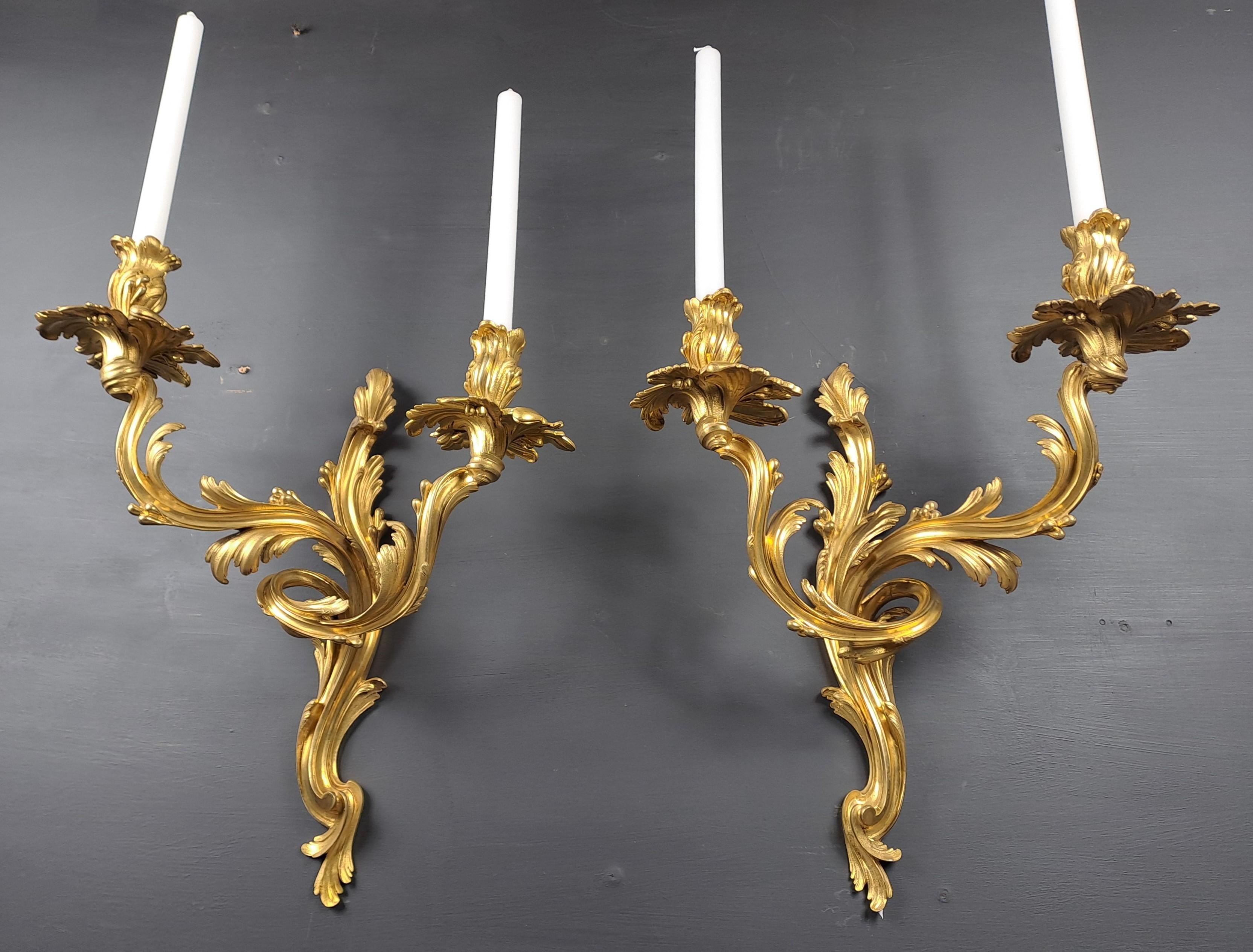 Gran par de apliques estilo Luis XV Rocaille de bronce dorado finamente cincelado, con dos brazos de luz.

Obra parisina de finísima factura, finales del siglo XIX, magnífico dorado en muy buen estado.

No electrificadas (sin taladrar), posibilidad