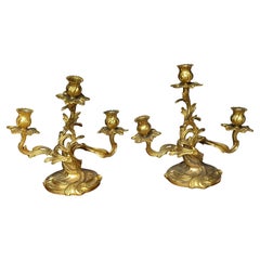 Pair of 20th Century Rococo Style Gilt Dore Three-Light Candelabra