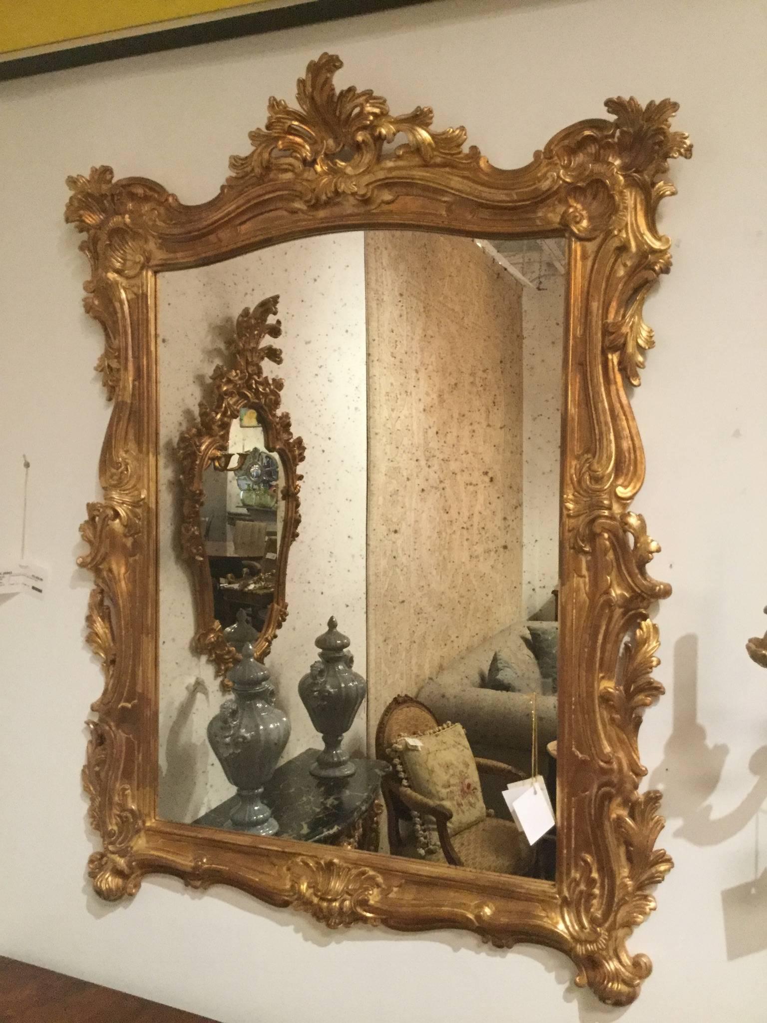 Pair of beautiful Rococo style gold gilt mirror featuring hand-carved foliate design around mirror frame and antiqued looking glass.  Created by the artisans of Italy.