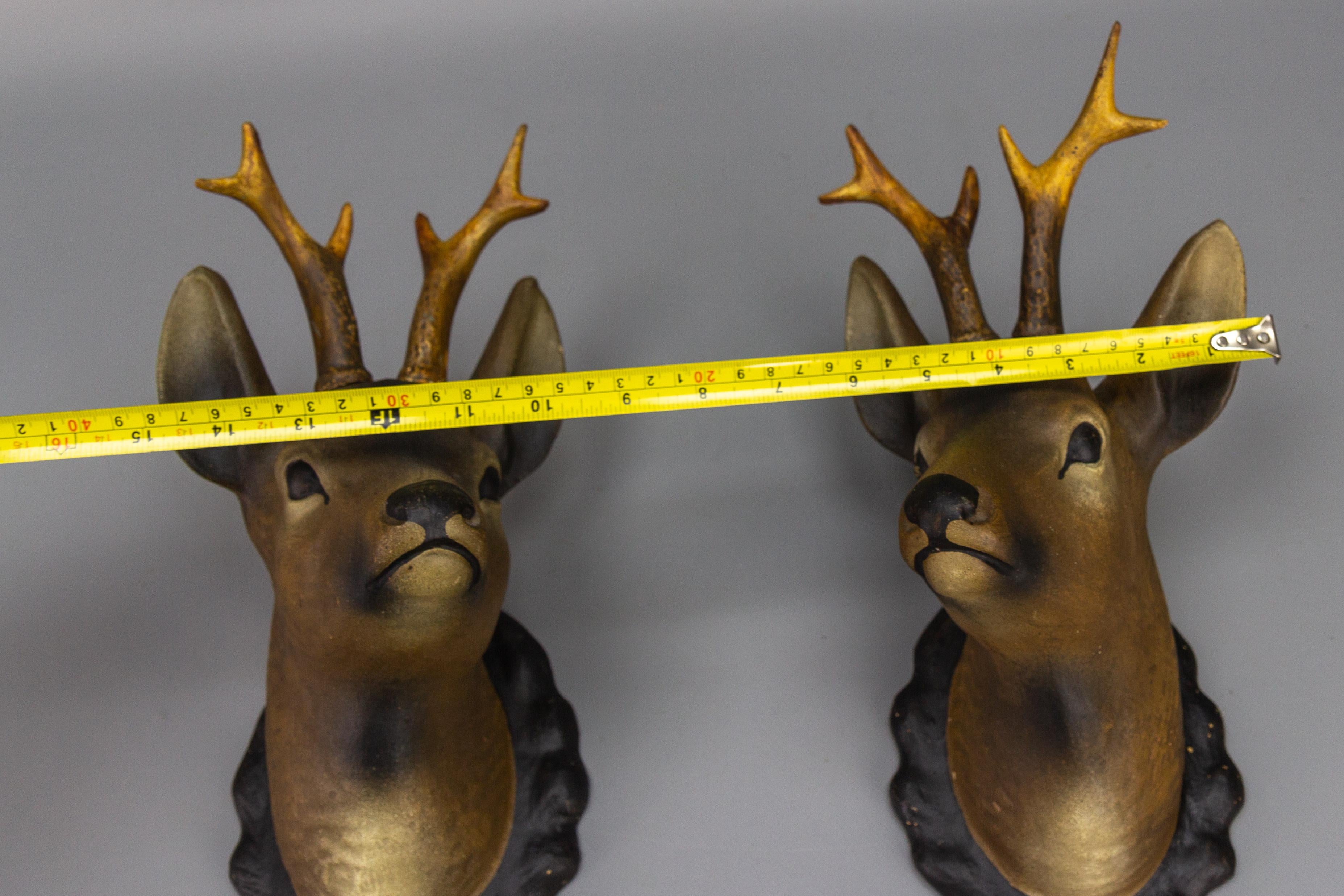 Pair of Roe Deer Heads, Wall Decoration, Germany, 1930s For Sale 3