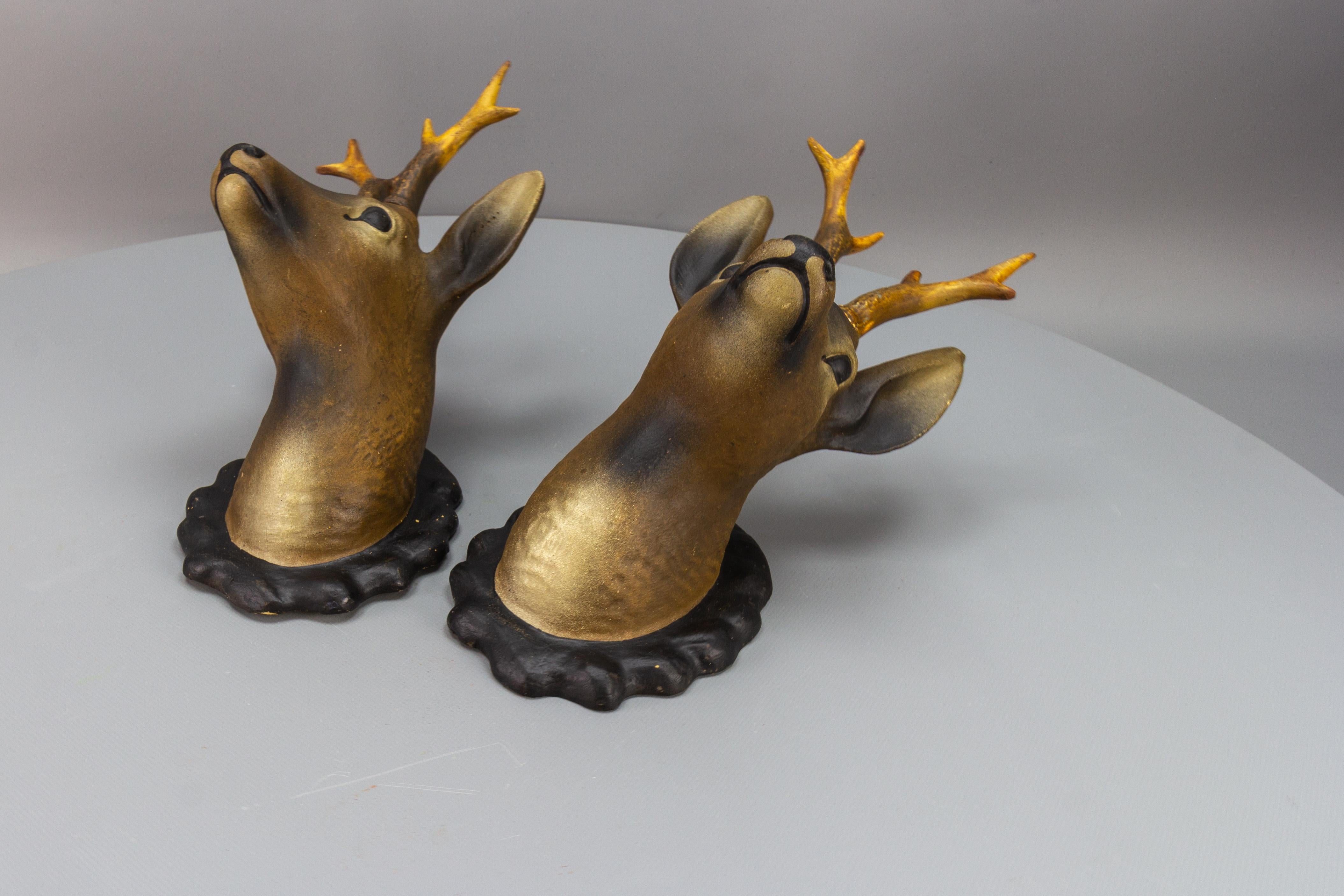 Pair of Roe Deer Heads, Wall Decoration, Germany, 1930s For Sale 4