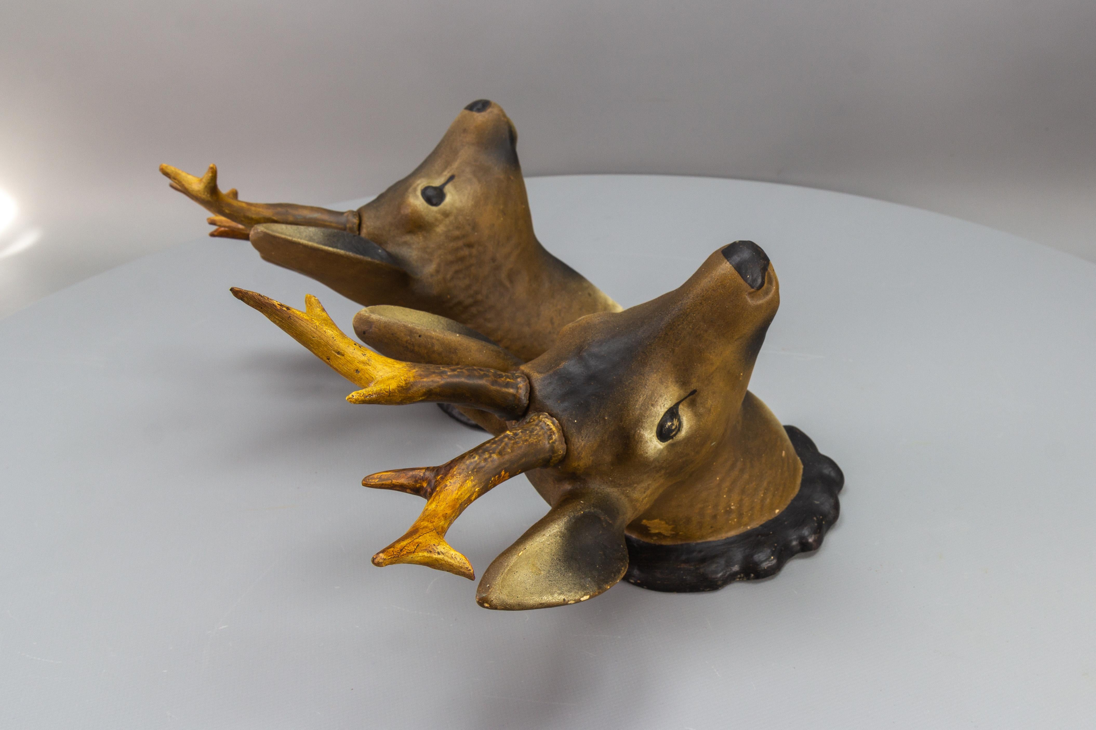 Pair of Roe Deer Heads, Wall Decoration, Germany, 1930s For Sale 5