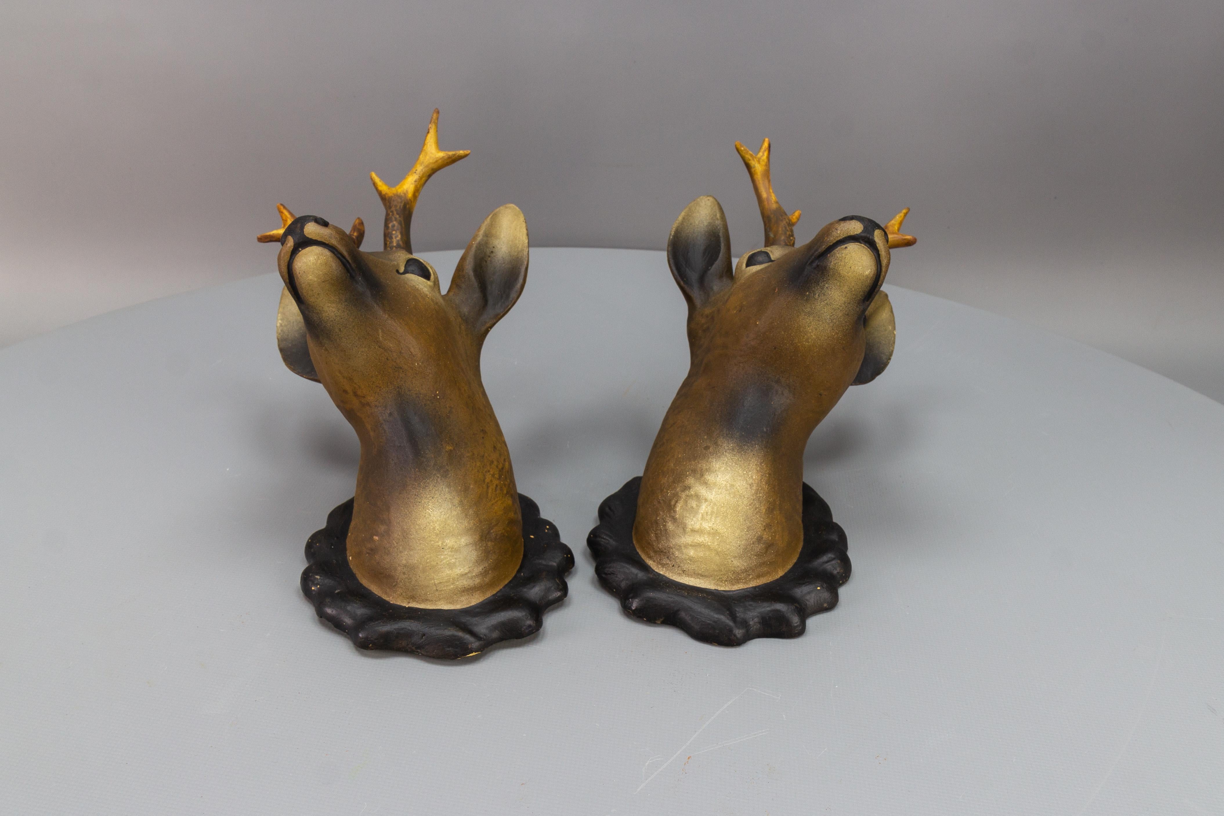 Pair of Roe Deer Heads, Wall Decoration, Germany, 1930s For Sale 6
