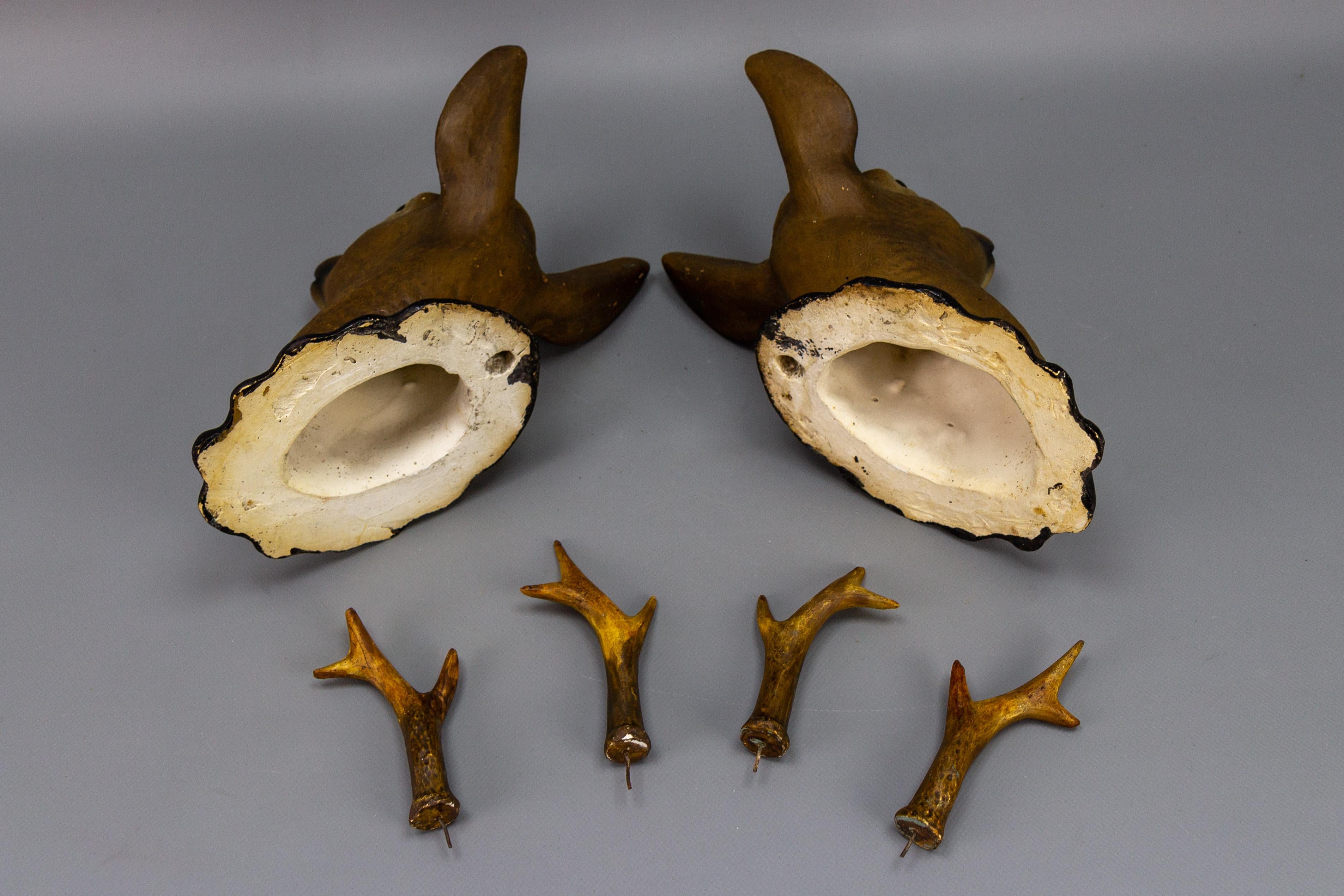 Pair of Roe Deer Heads, Wall Decoration, Germany, 1930s For Sale 9