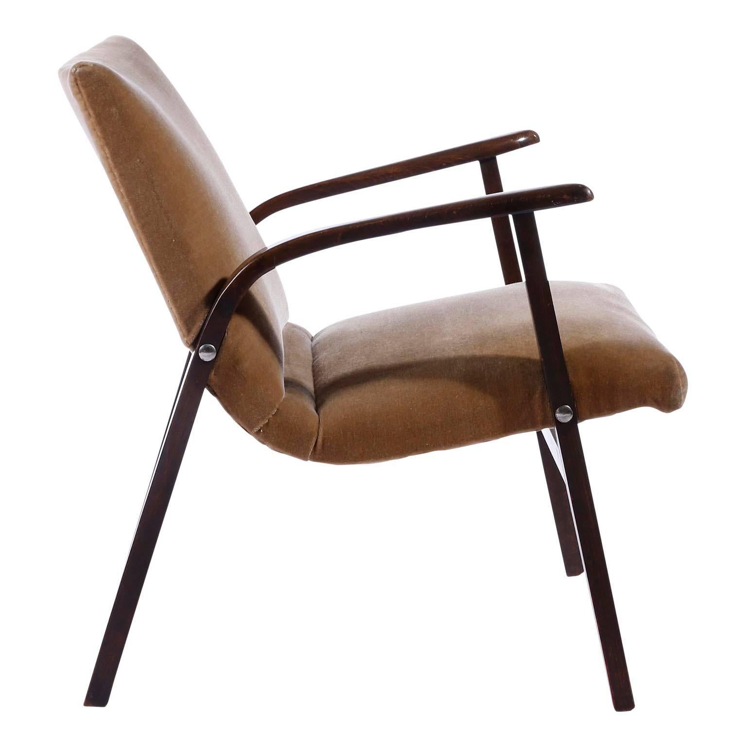 Paire de fauteuils de salon Roland Rainer, Cafe Ritter, bois de velours, années 1950 en vente 3