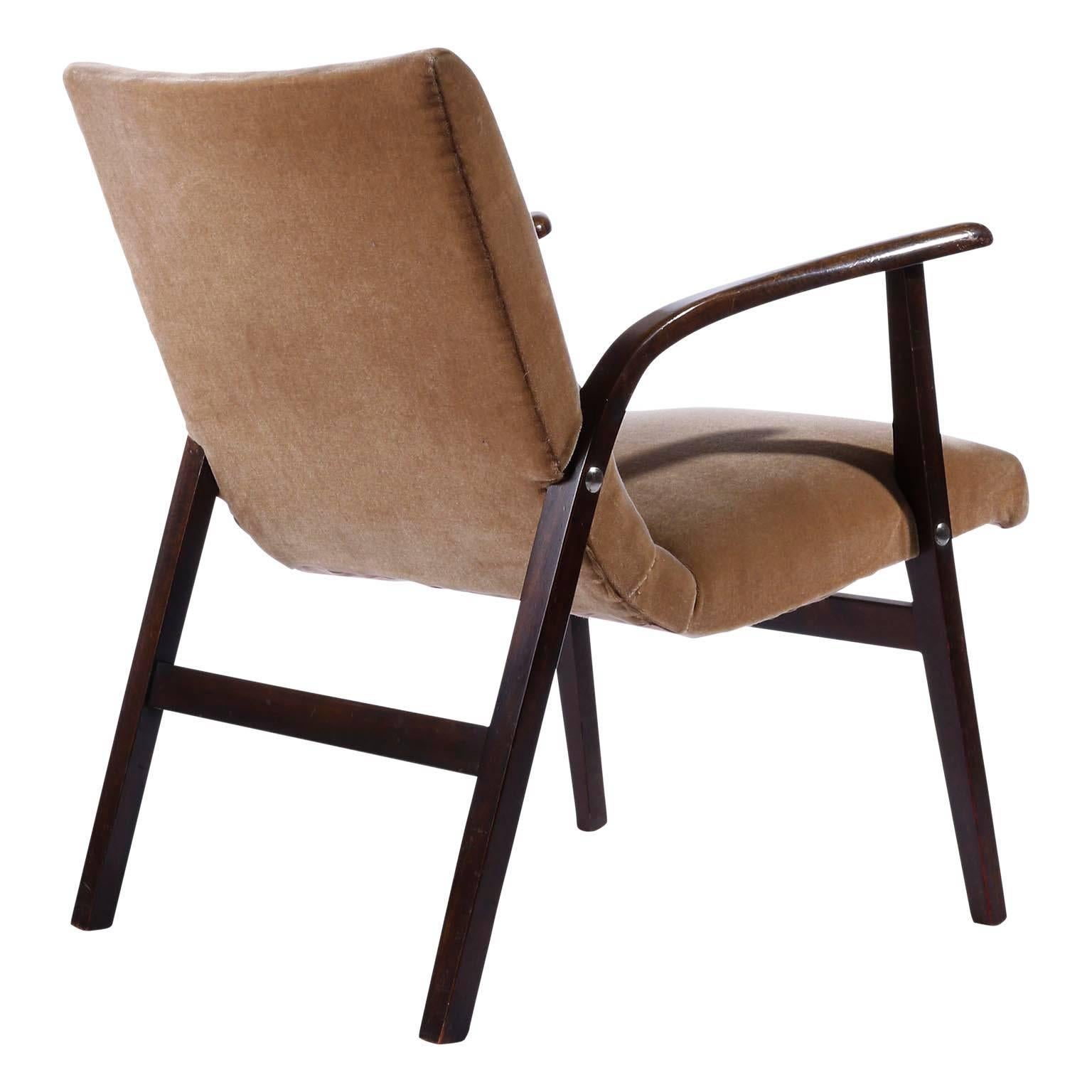 Paire de fauteuils de salon Roland Rainer, Cafe Ritter, bois de velours, années 1950 en vente 4