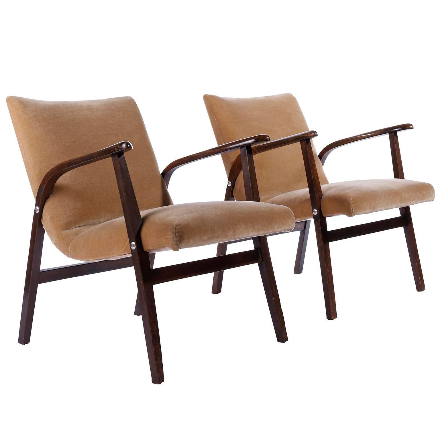 Autrichien Paire de fauteuils de salon Roland Rainer, Cafe Ritter, bois de velours, années 1950 en vente