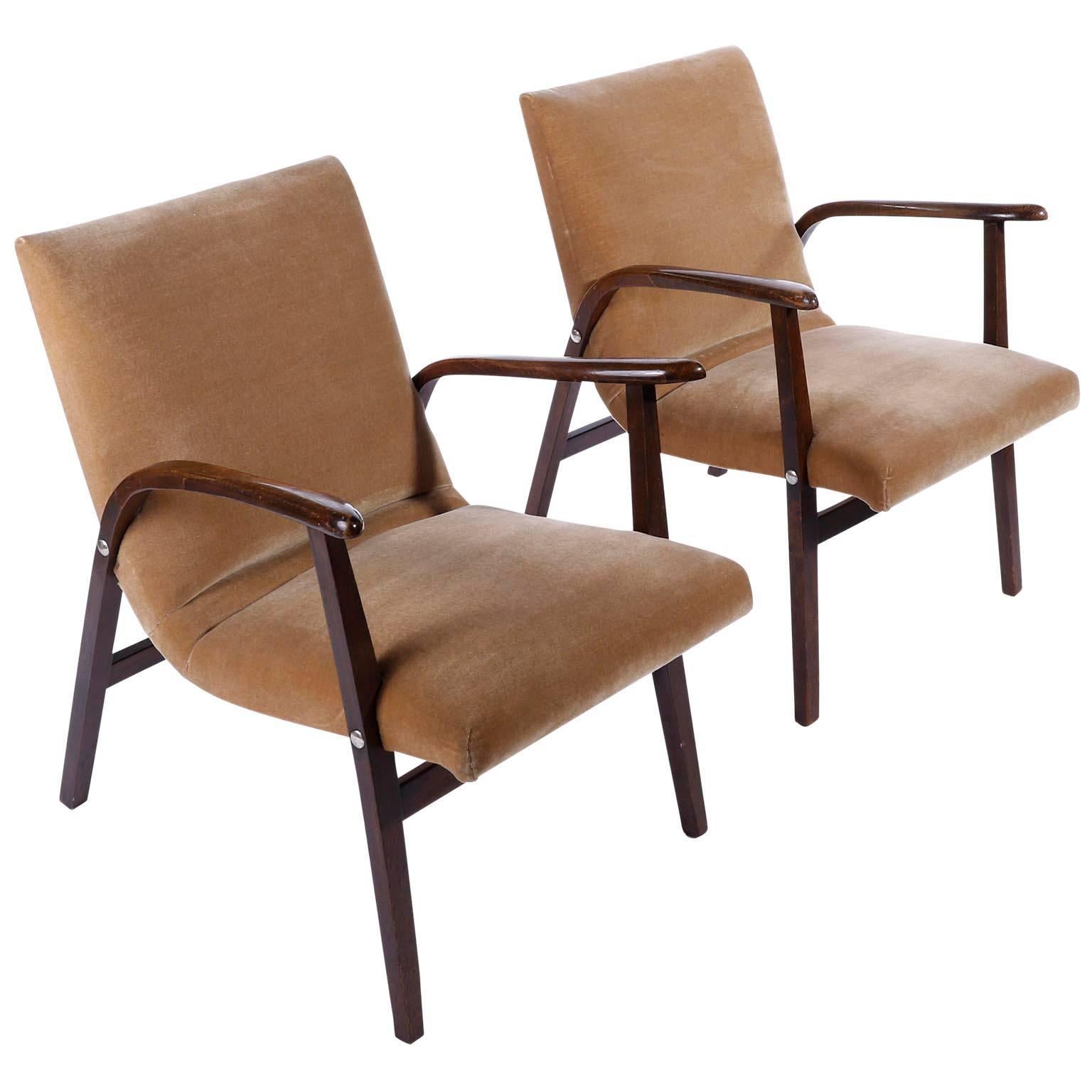 Tacheté Paire de fauteuils de salon Roland Rainer, Cafe Ritter, bois de velours, années 1950 en vente