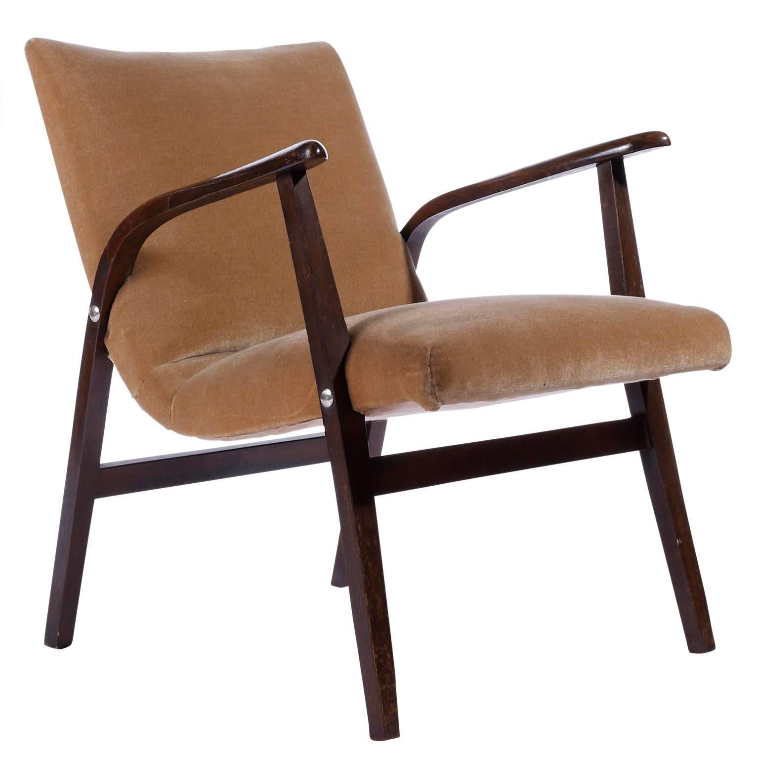 Austrian Pair of Roland Rainer Lounge Chairs Armchairs Cafe Ritter, Velvet Wood, 1950s For Sale