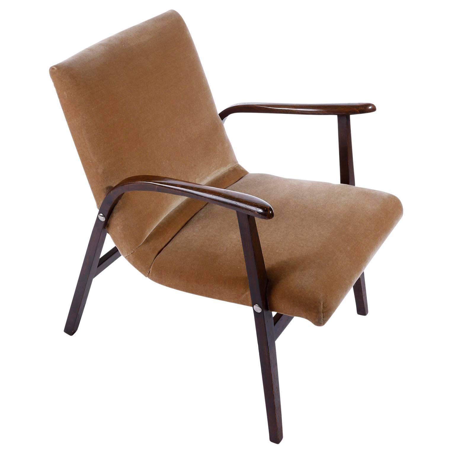 Stained Pair of Roland Rainer Lounge Chairs Armchairs Cafe Ritter, Velvet Wood, 1950s For Sale