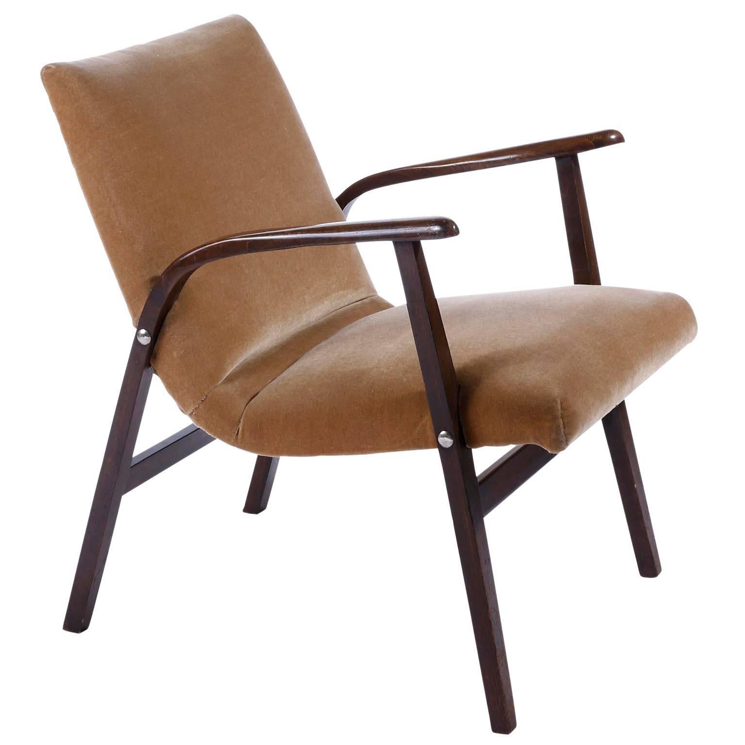 Paire de fauteuils de salon Roland Rainer, Cafe Ritter, bois de velours, années 1950 en vente 1