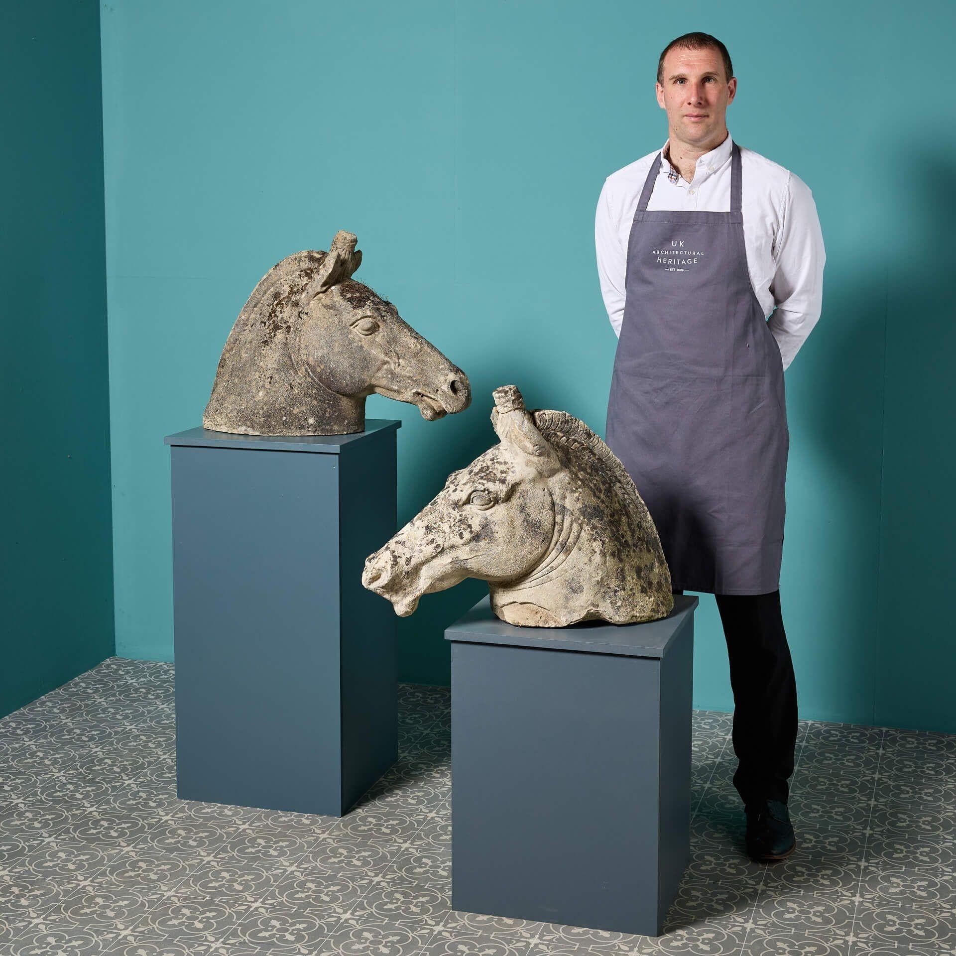An interesting pair of lifesize Roman style composition stone horse heads, beautifully weathered by exposure to the elements over many years.

Well-sculpted, the maker has captured the essence of each horse through their characteristic detail. You