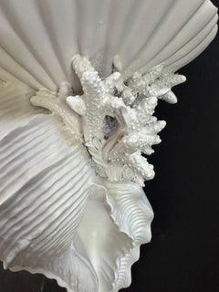 Pareja de Soportes de Pared con Motivo de Concha Romántica