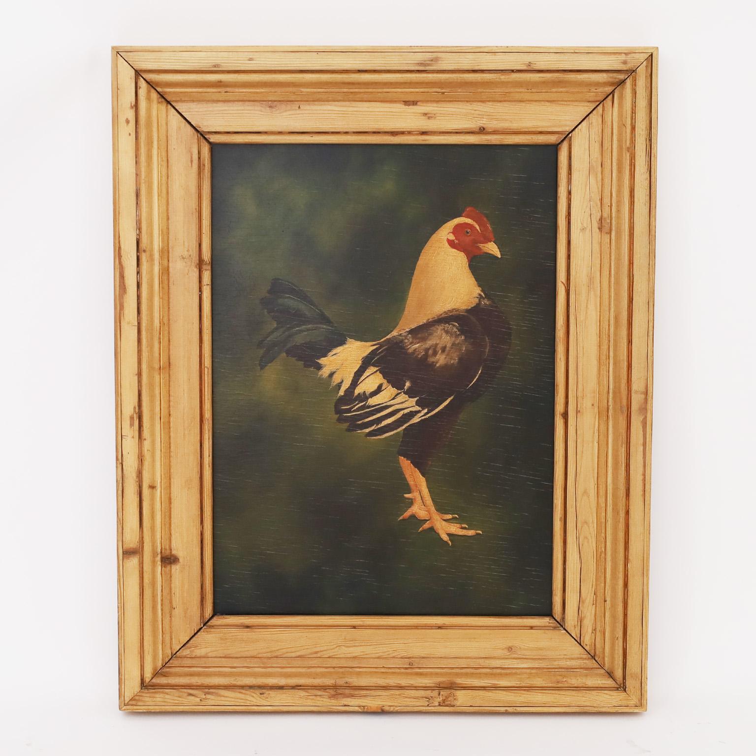 Handsome pair of oil paintings on board depicting prized roosters, executed in a primitive yet decorative technique and presented in impressive pine frames.