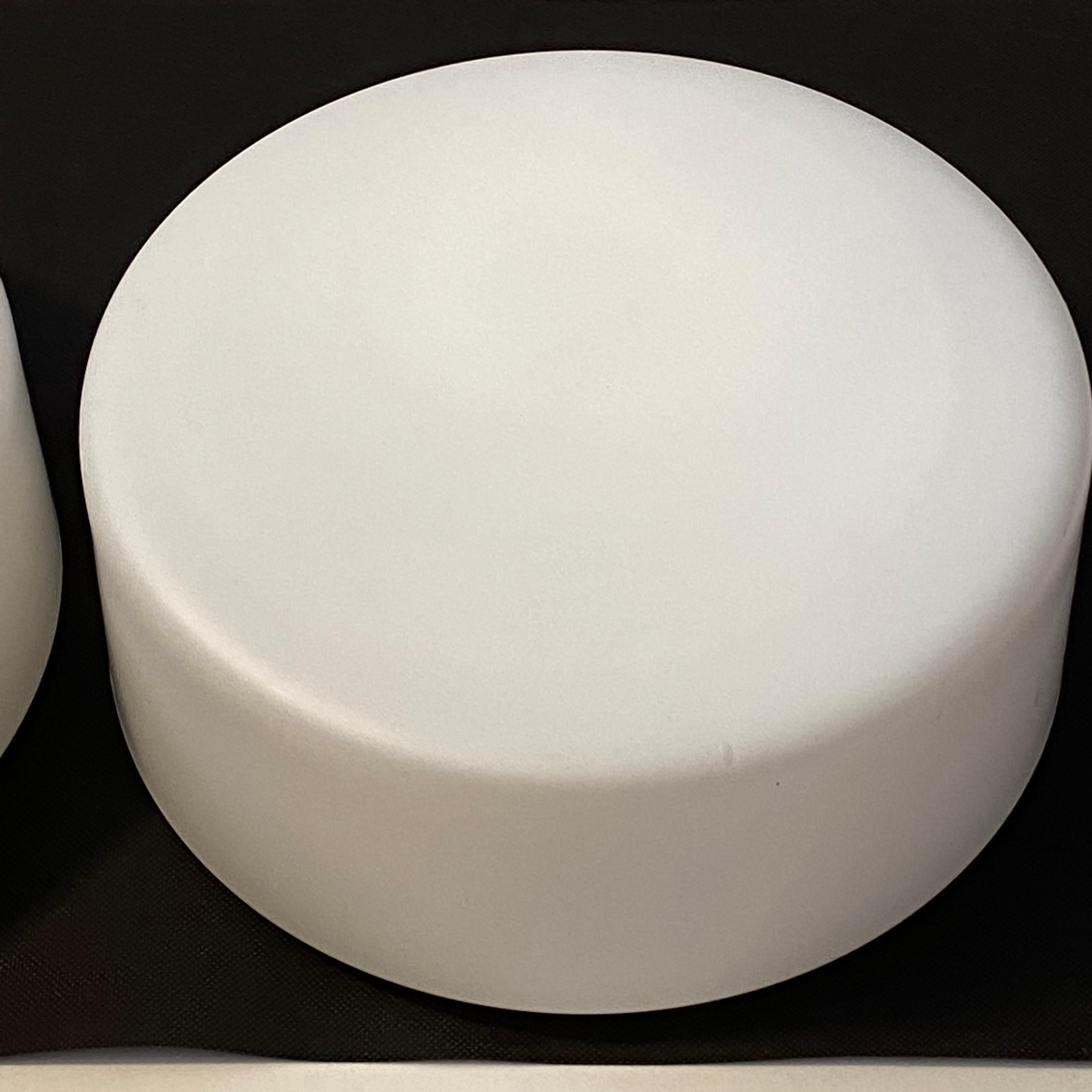 Metal Pair of Round Bauhaus Milk Glass Flush Mount Lights by RZB Leuchten, 1960s