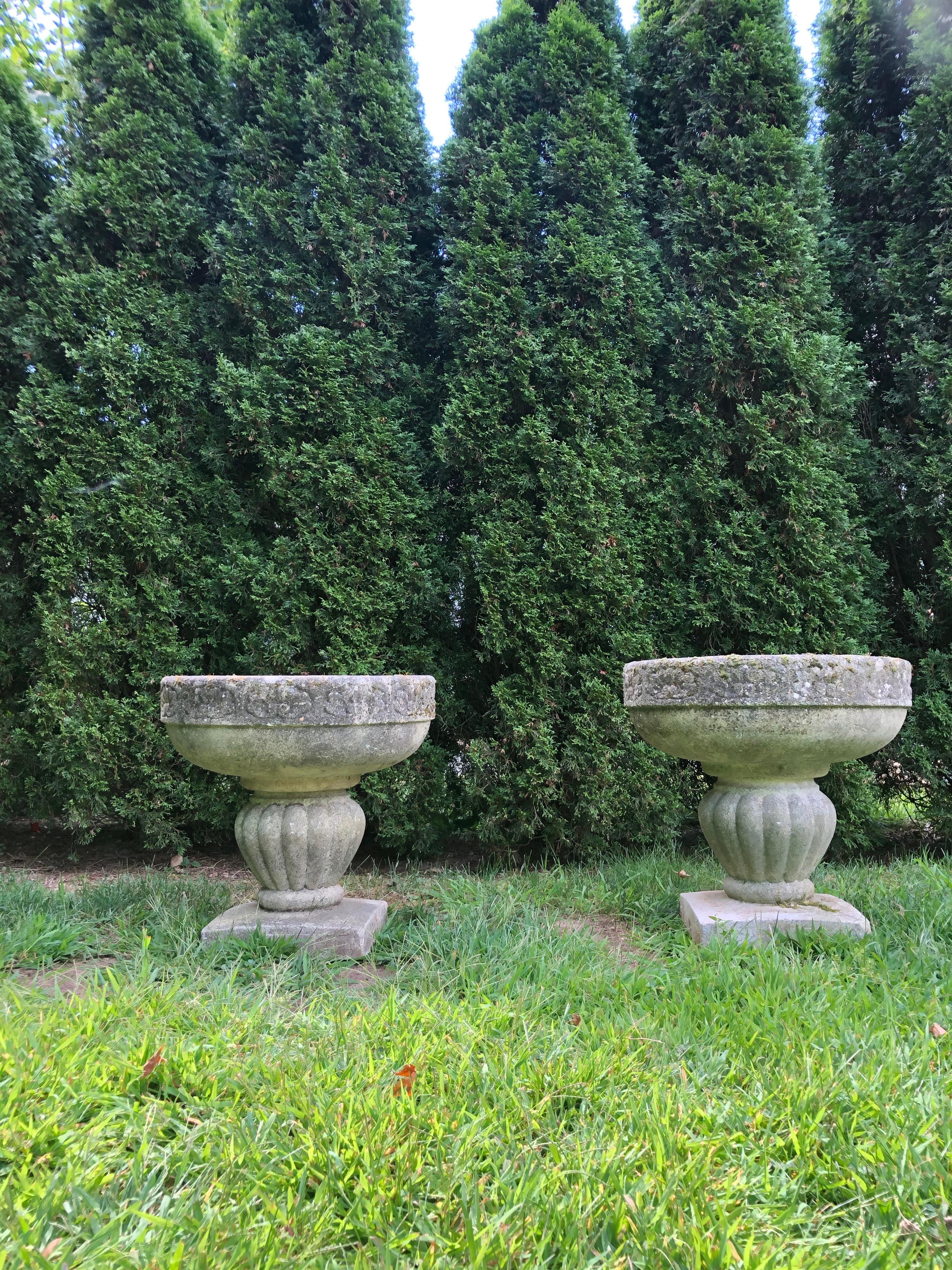 These commodious planters will make a real statement flanking your front door or entrance to your garden. With large planting bowls and a great weathered and mossy patina, they are in excellent vintage condition with only a small chip to one corner