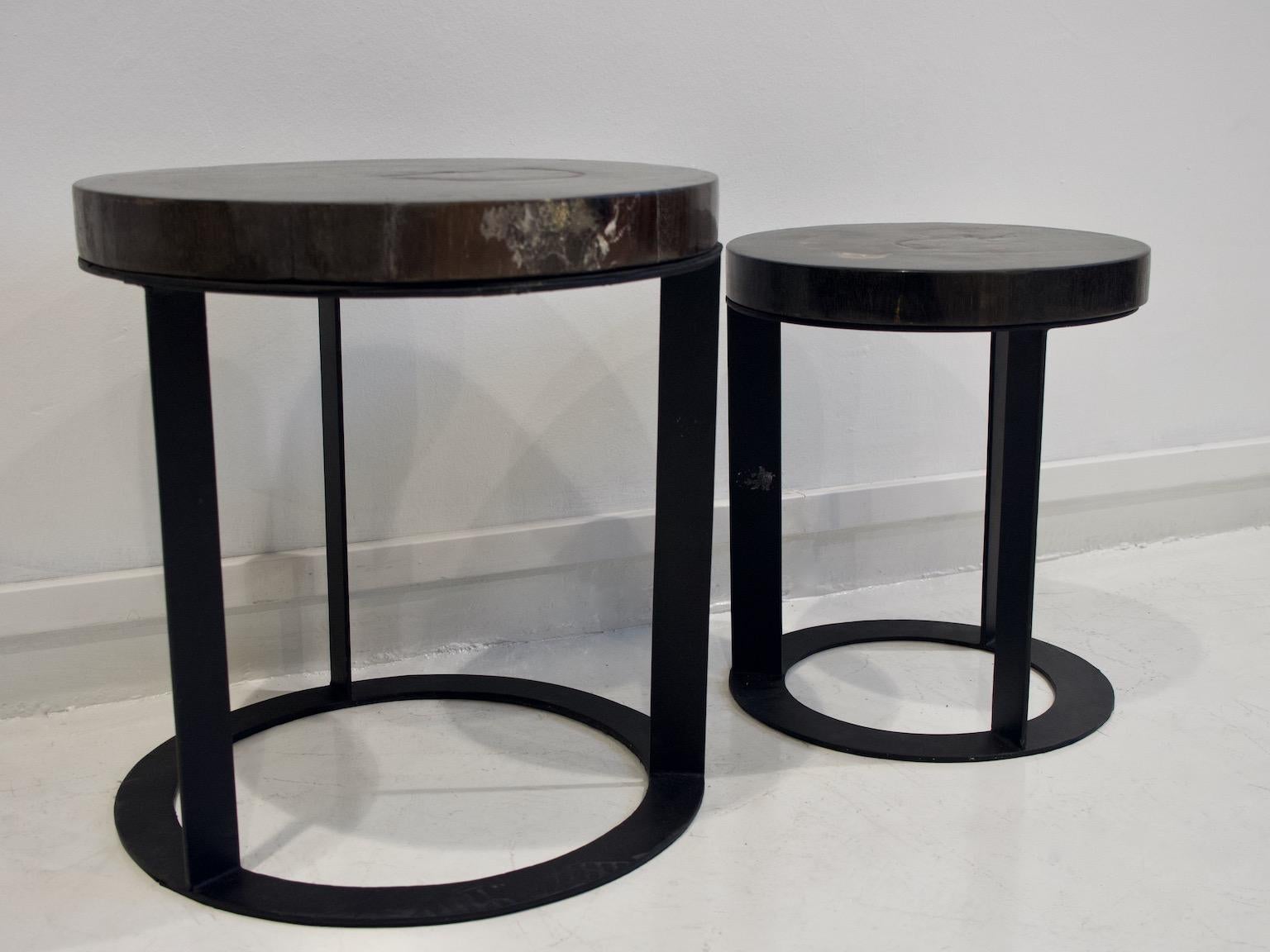Contemporary Pair of Round Petrified Wood Side Tables on Black Metal Base