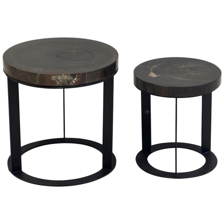 Pair of Round Petrified Wood Side Tables on Black Metal Base