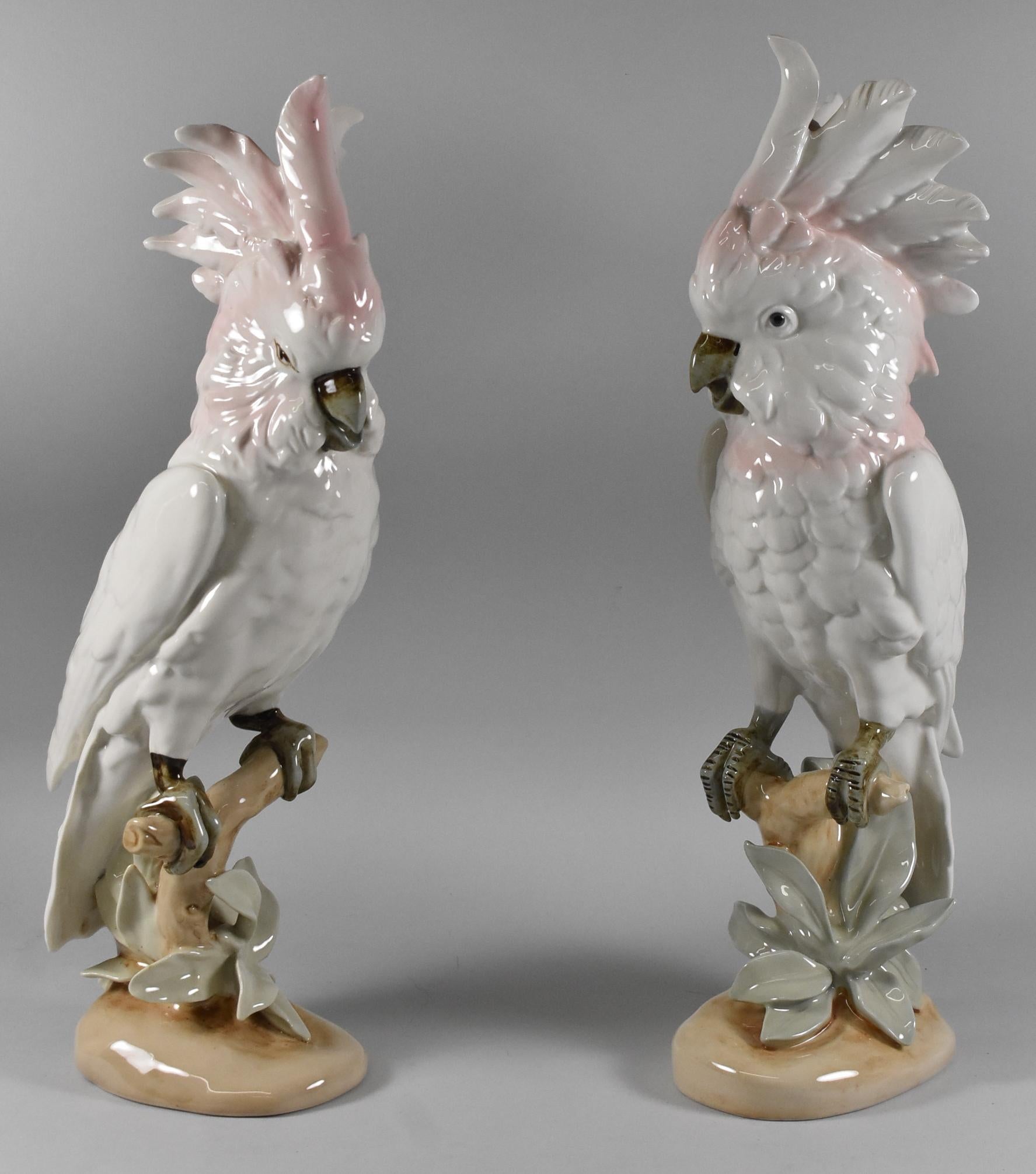 Coppia di cacatua in porcellana di Royal Dux, circa 1974. Ogni uccello è unico, dipinto a mano con colori tenui, piumaggio bianco tenue con un accenno di rosa nella testa e nella cresta. Triangolo rosa in rilievo e marchio Royal Dux Made in