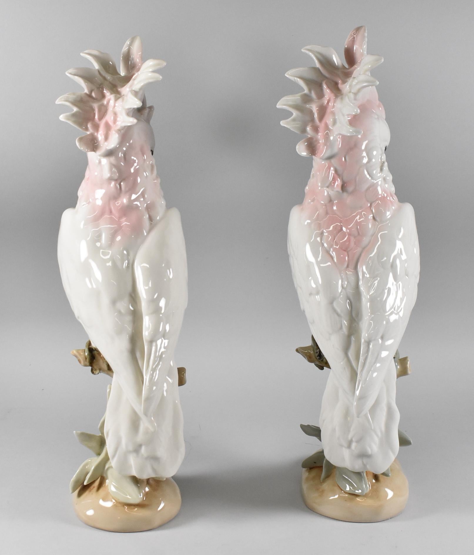 XX secolo Coppia di cacatua in porcellana ceca Royal Dux in vendita