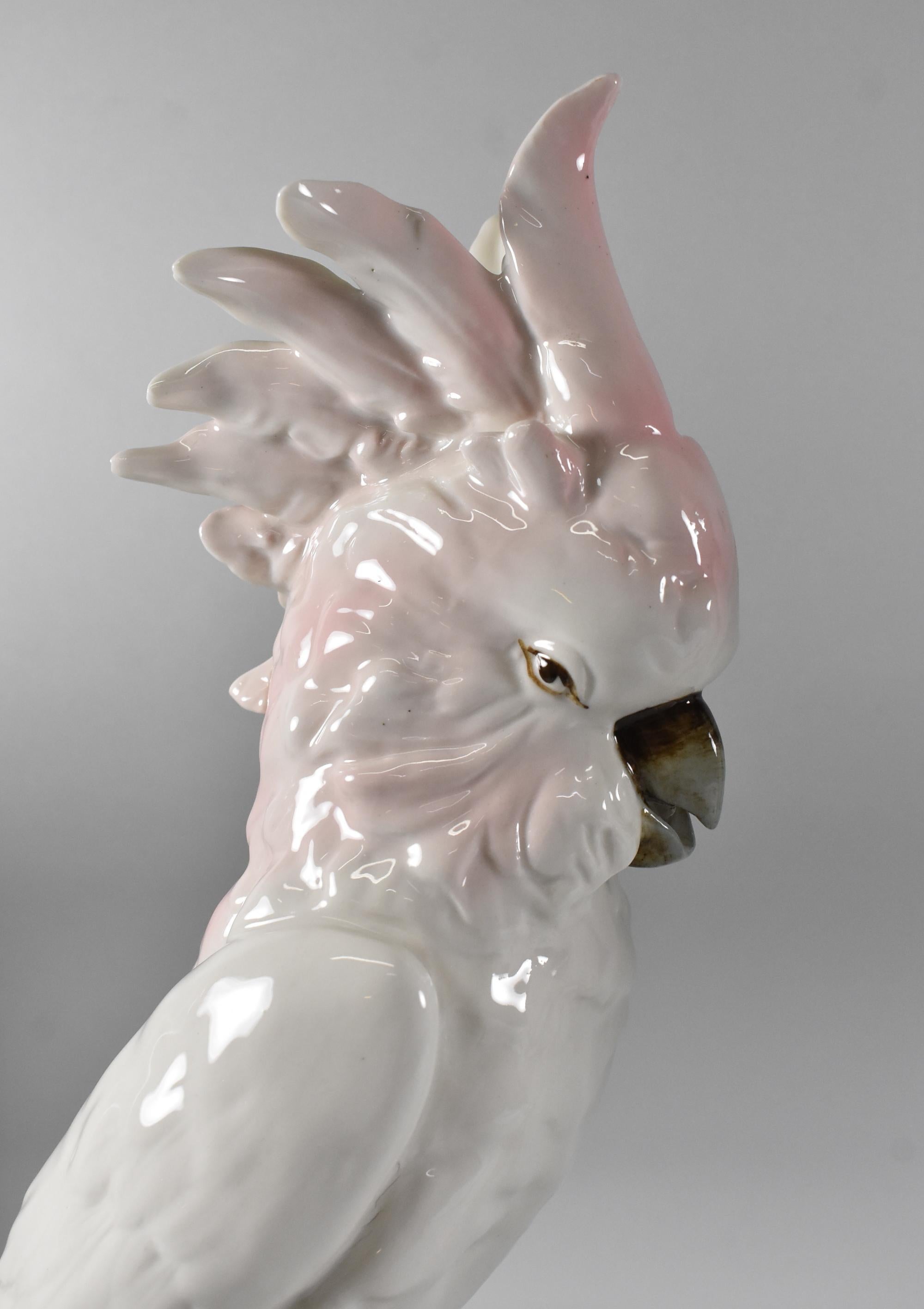 Coppia di cacatua in porcellana ceca Royal Dux in vendita 1