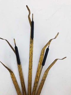 Pair of 'Rush' Ferrocolor Sconces