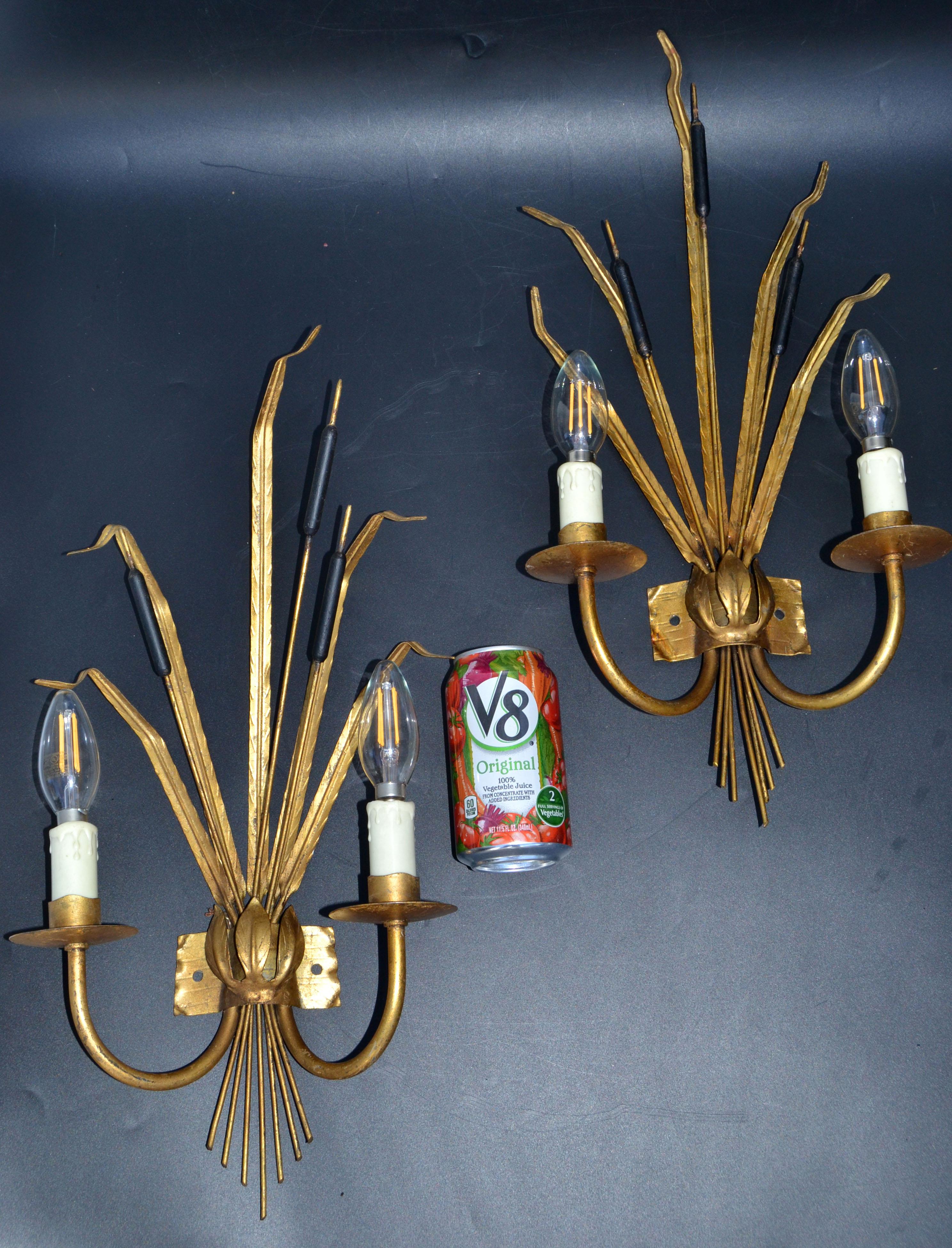 Pair of Rush Ferrocolor Sconces, Wall Lights Spain 1960 For Sale 3