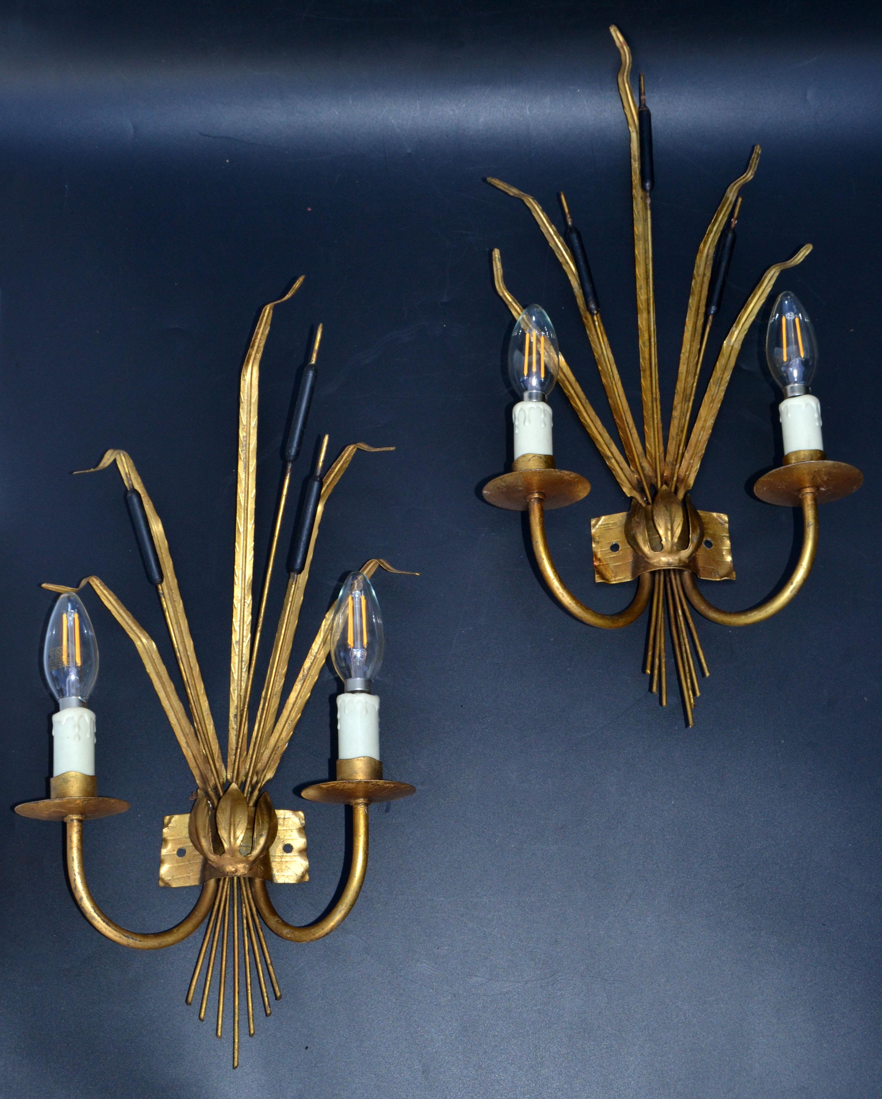 Pair of Rush Ferrocolor Sconces, Wall Lights Spain 1960 For Sale 5