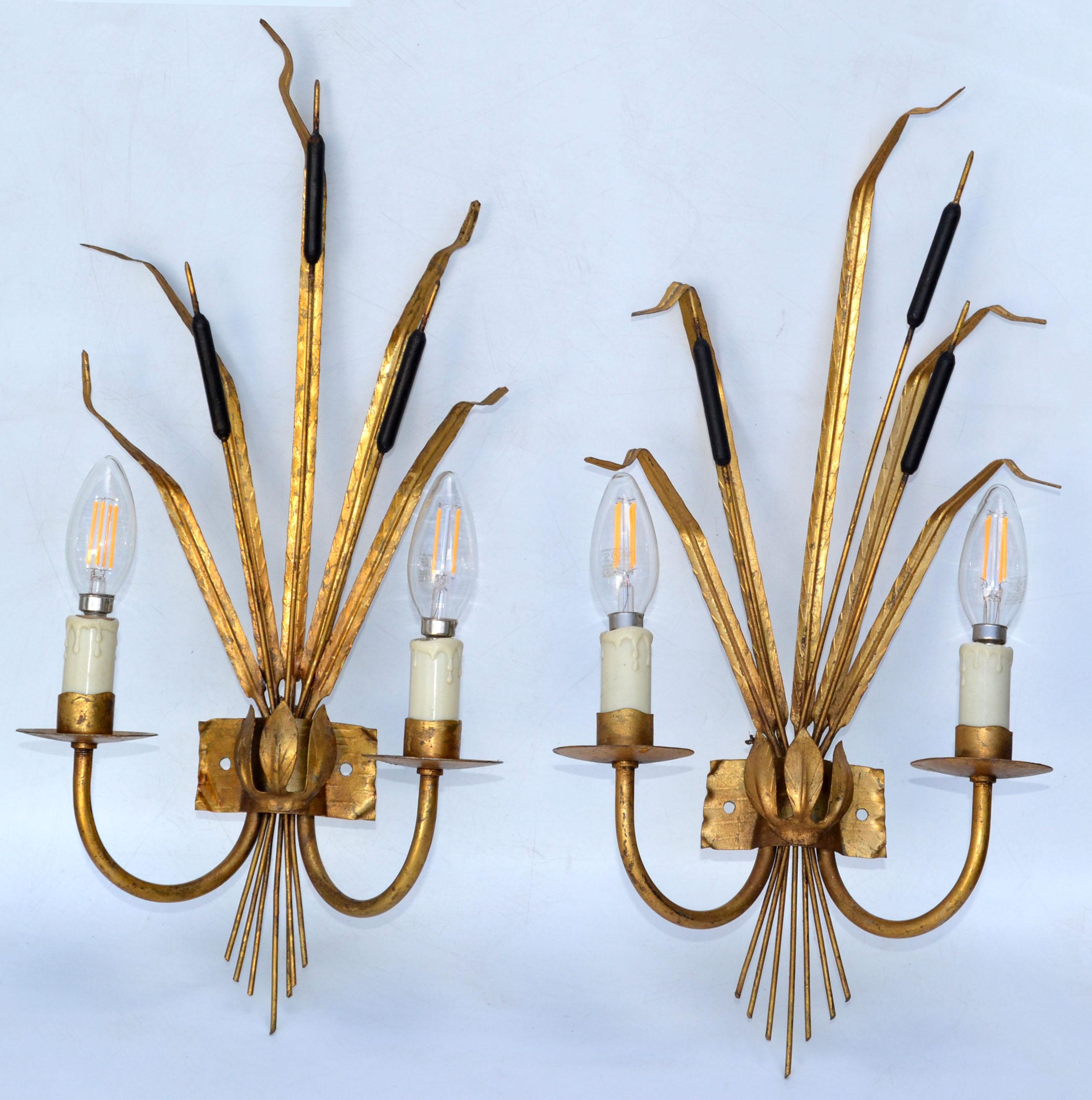 Pair of Rush Ferrocolor Sconces, Wall Lights Spain 1960 For Sale 6
