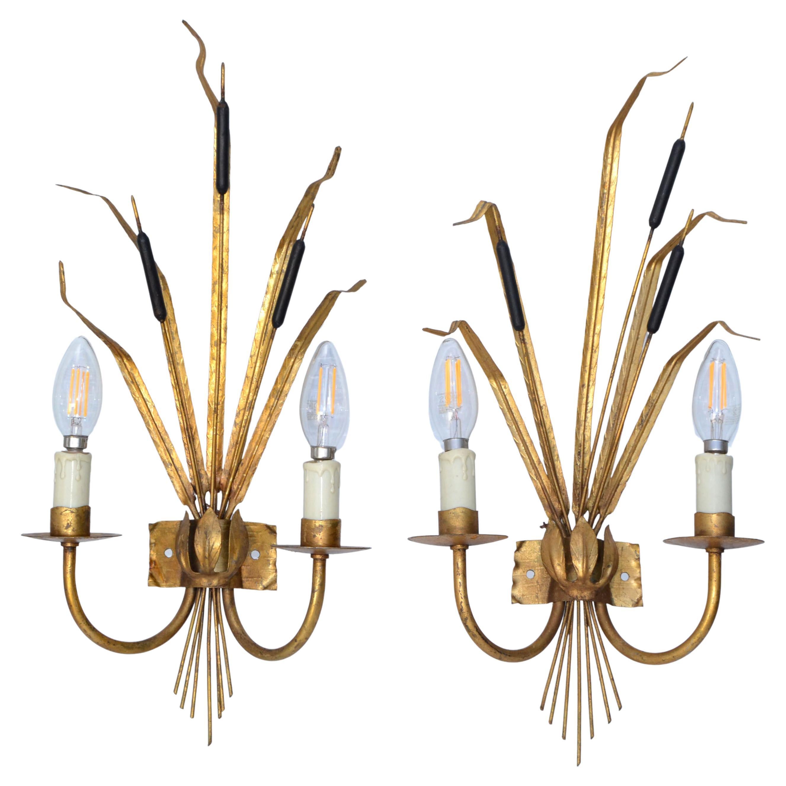 Pair of Rush Ferrocolor Sconces, Wall Lights Spain 1960 For Sale