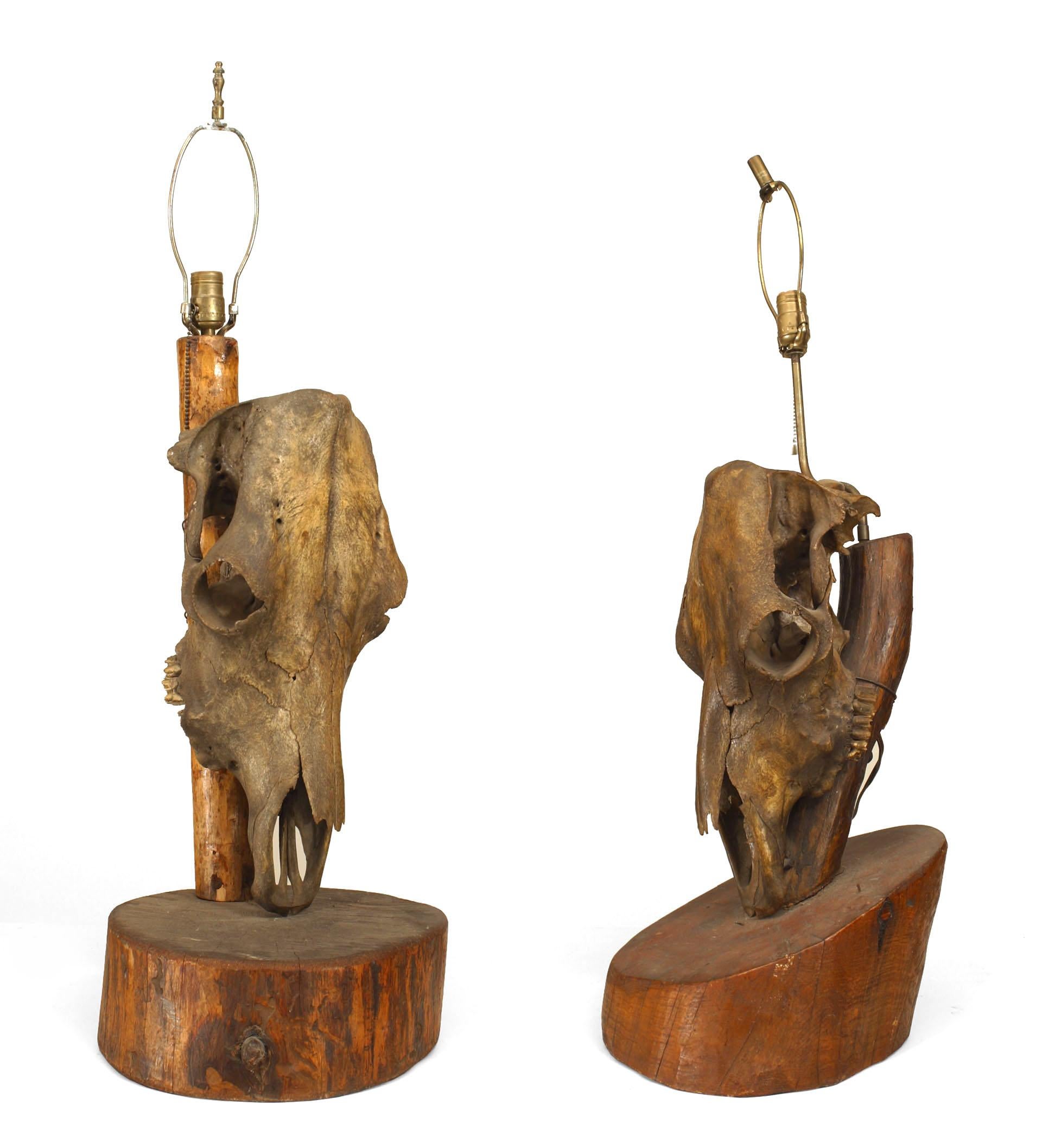 Pair of American Rustic (20th Cent) table lamps with horse skulls mounted on a free form wood base (attributed to MOLESWORTH)(PRICED AS Pair).
