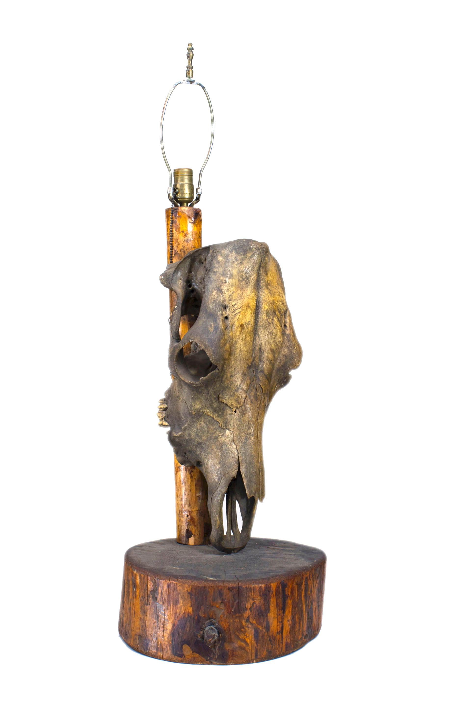 Pair of American Rustic Horse Skull Table Lamps In Good Condition For Sale In New York, NY