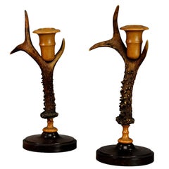 Pair of Rustic Candleholders Made of Deer Antlers