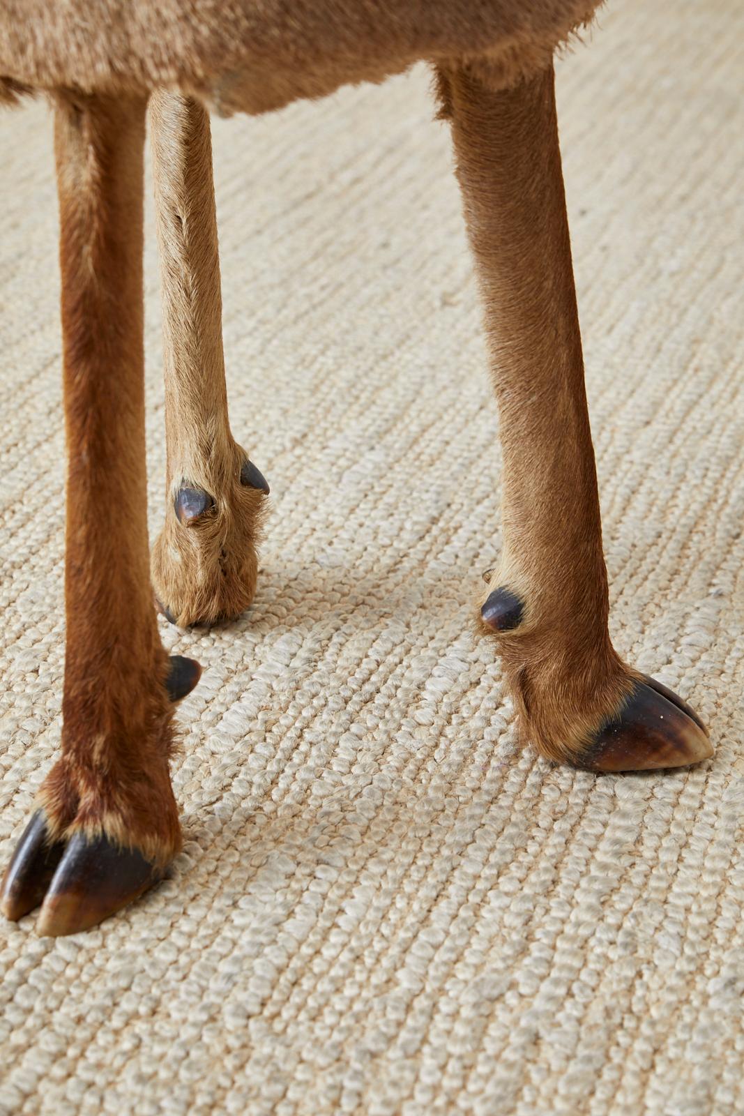 Pair of Rustic French Taxidermy Three-Leg Deer Stools 3