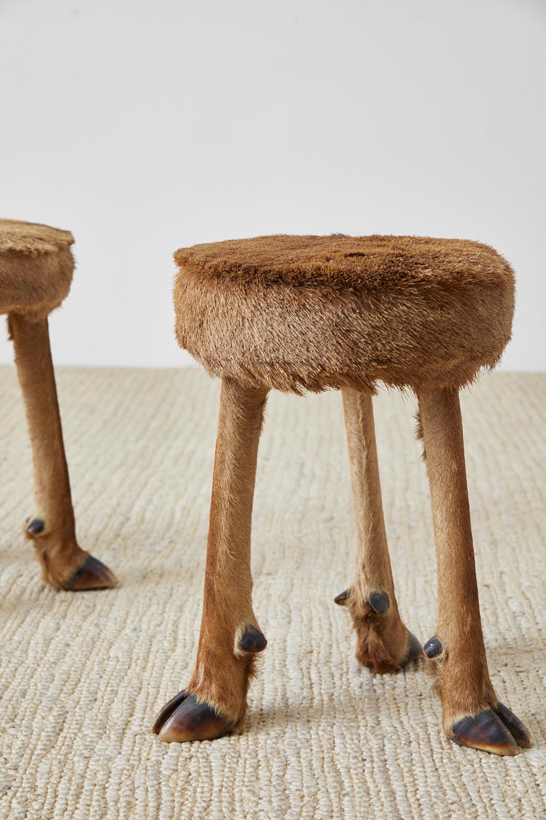 Pair of Rustic French Taxidermy Three-Leg Deer Stools 4