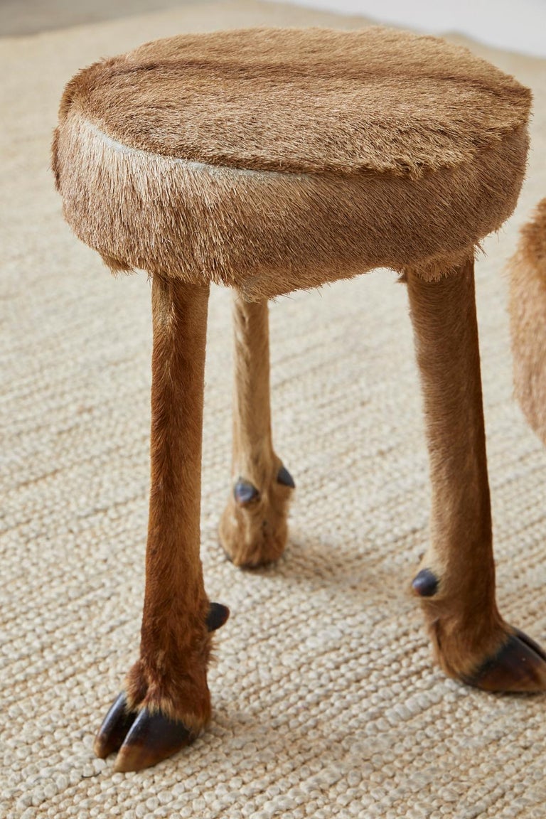 Pair of Rustic French Taxidermy ThreeLeg Deer Stools at 1stDibs