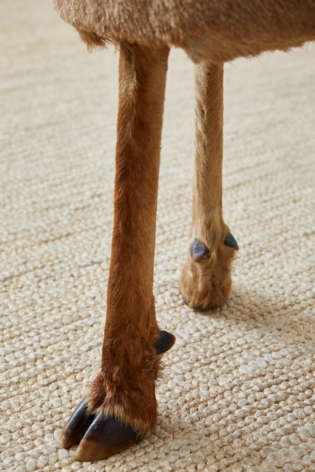 Hand-Crafted Pair of Rustic French Taxidermy Three-Leg Deer Stools