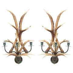 Pair of Rustic Horn and Brass Wall Sconces