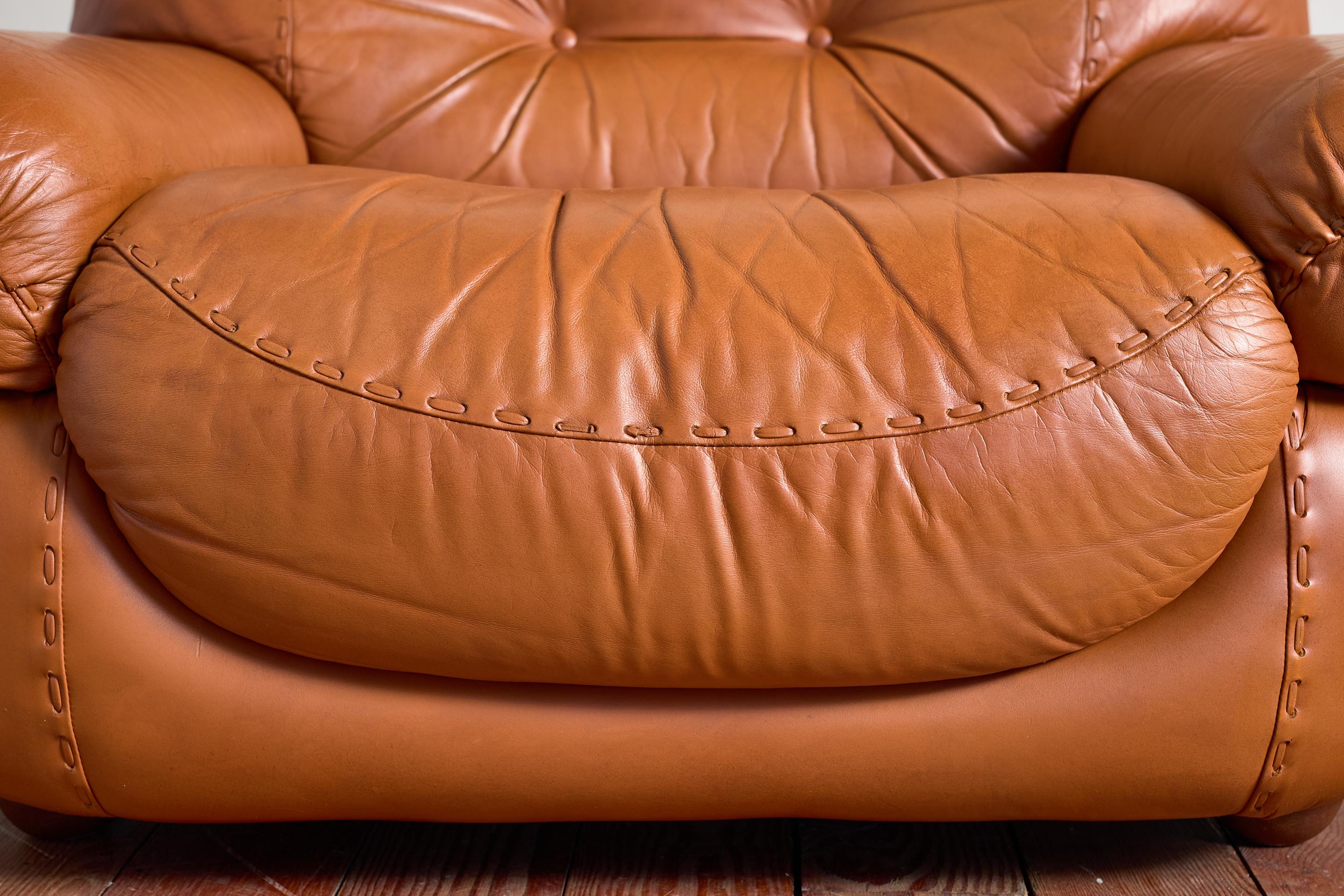 Pair of Sapporo Armchairs by Mobil Girgi For Sale 5